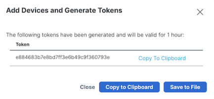 Generated Token